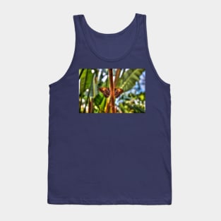 Dusky Giant Owl Butterflies Tank Top